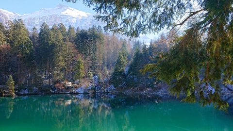 スイスの深山「ブラウゼー自然公園」で神秘の湖をめぐる冬のデトックス・ウォーキング