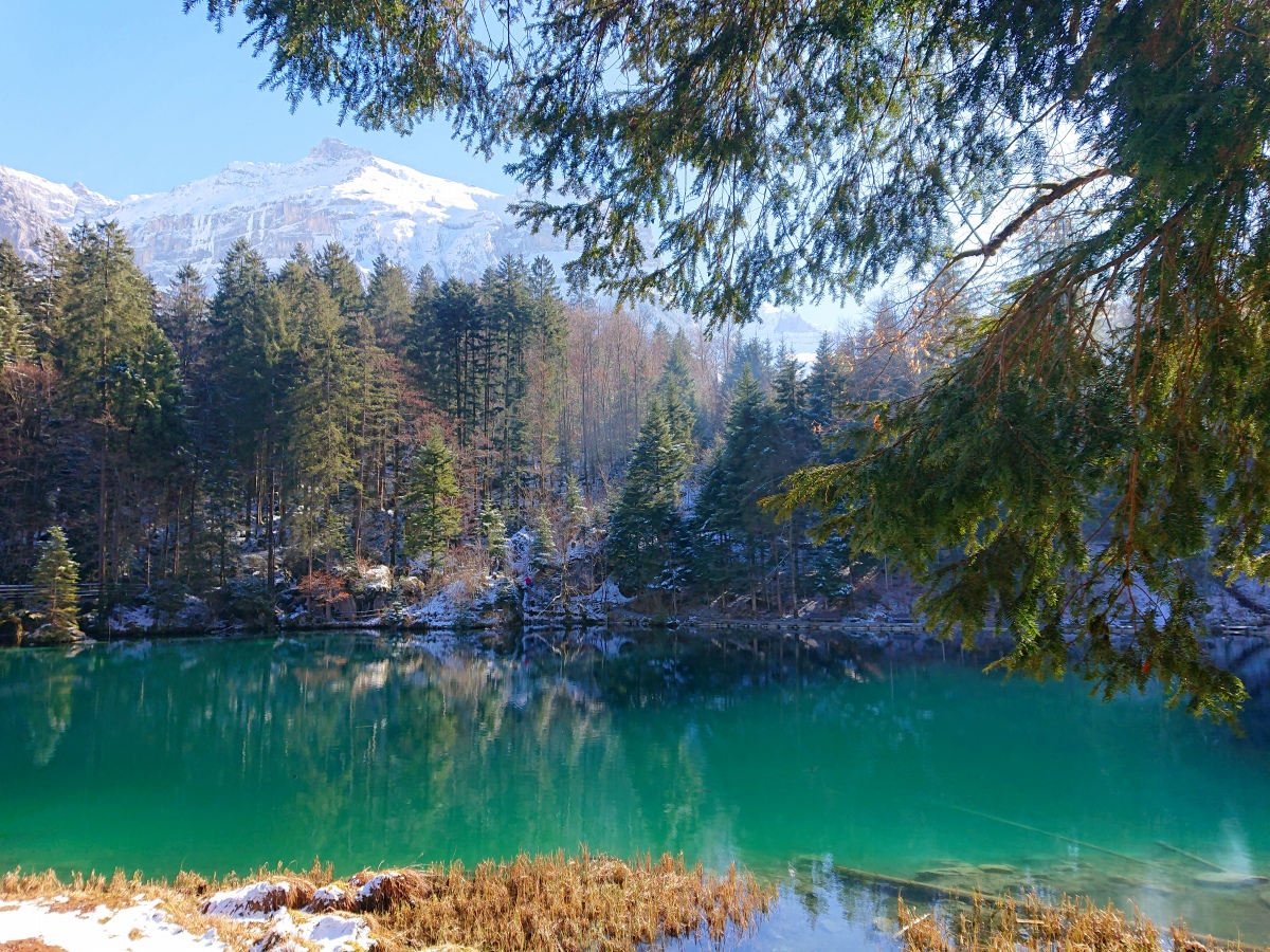 スイスの深山「ブラウゼー自然公園」で神秘の湖をめぐる冬のデトックス・ウォーキング