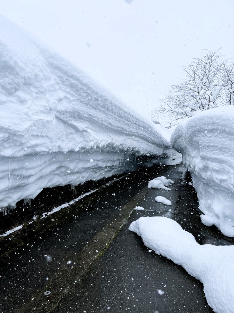 ２月終わりの新潟の雪道