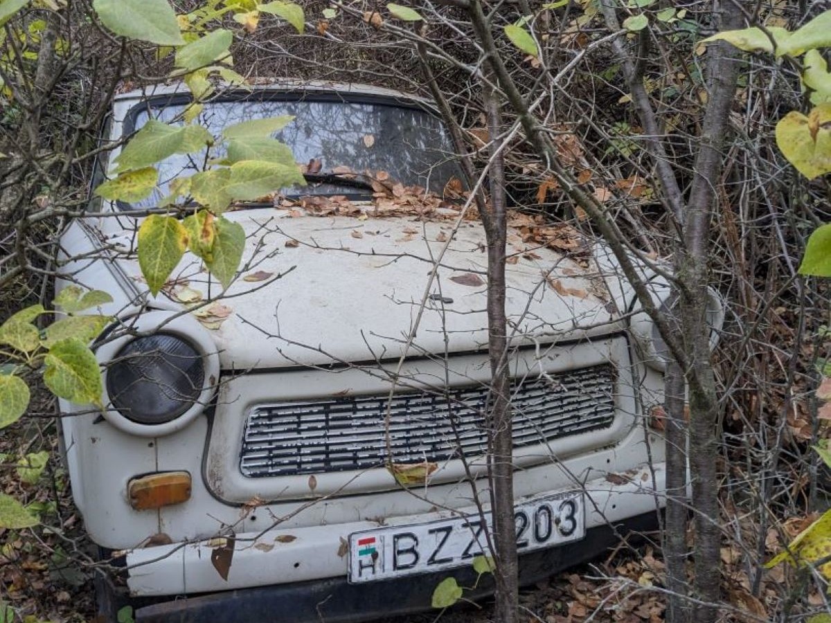 敷地に放置されていた車